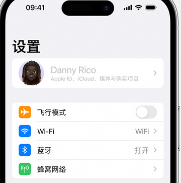 郧阳appleID维修服务iPhone设置中Apple ID显示为灰色无法使用