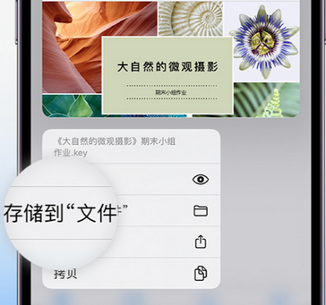 郧阳apple维修中心分享iPhone文件应用中存储和找到下载文件