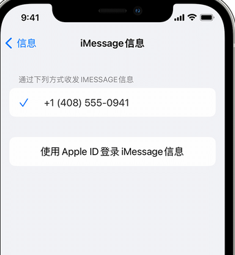 郧阳apple维修iPhone上无法正常发送iMessage信息