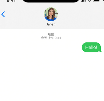 郧阳apple维修iPhone上无法正常发送iMessage信息