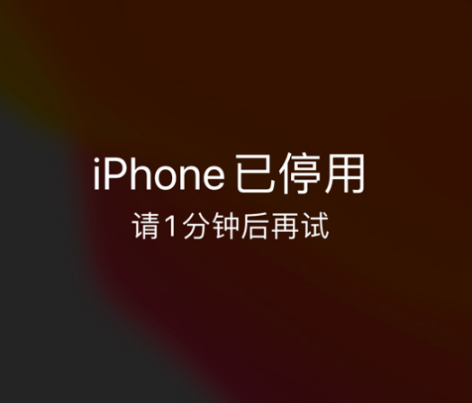 郧阳苹果手机维修分享:iPhone 显示“不可用”或“已停用”怎么办？还能保留数据吗？ 