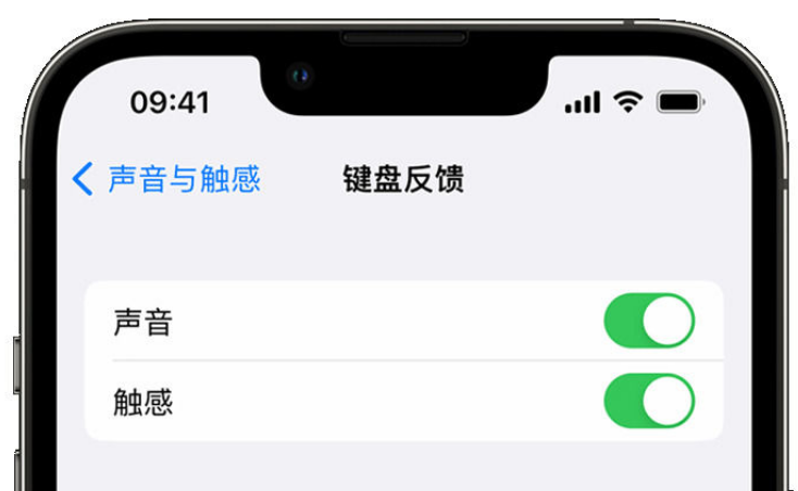 郧阳苹果手机维修分享iPhone 14触感键盘使用方法 