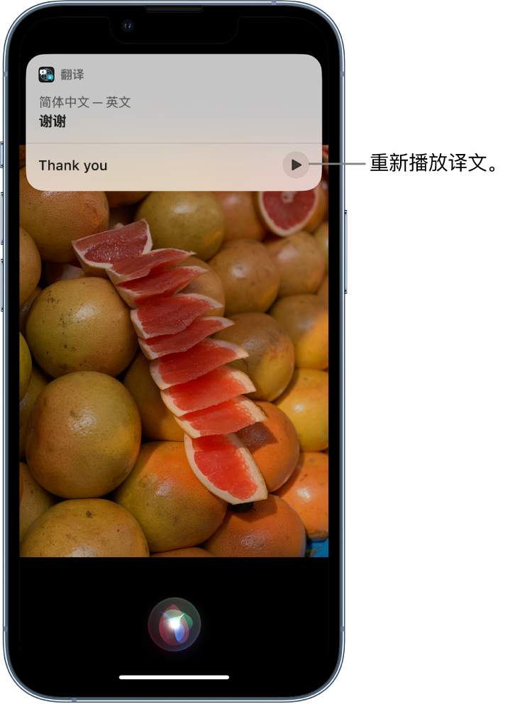 郧阳苹果14维修分享 iPhone 14 机型中使用 Siri：了解 Siri 能帮你做什么 