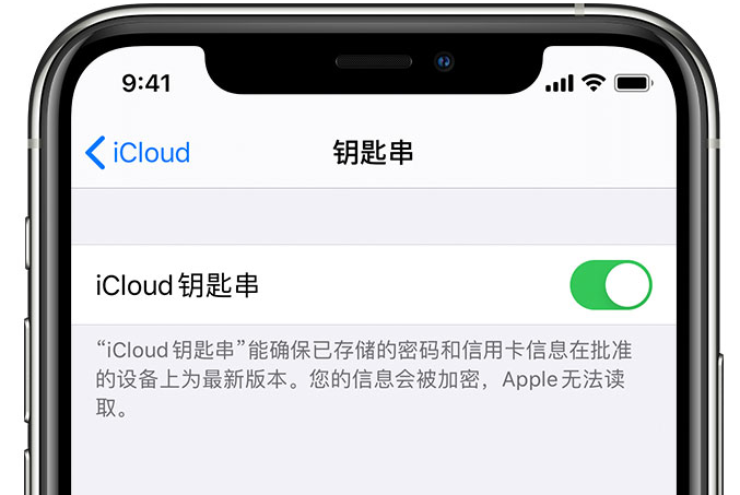 郧阳苹果手机维修分享在 iPhone 上开启 iCloud 钥匙串之后会储存哪些信息 