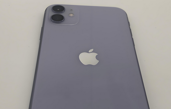 郧阳苹果11系统维修分享iPhone11手机系统崩溃无法开机如何解决